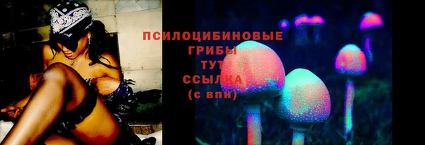 тгк Армянск