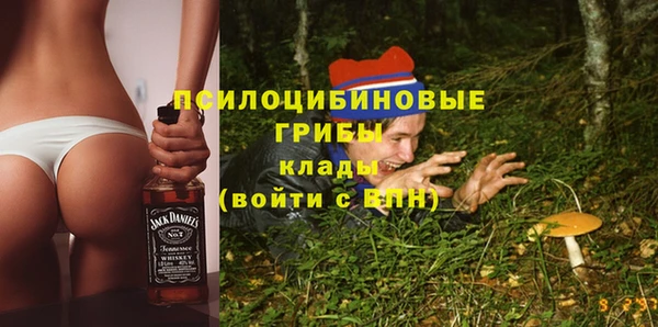 СК Арсеньев