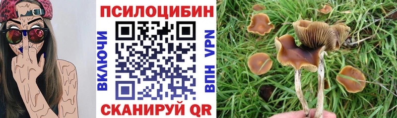 Галлюциногенные грибы ЛСД  купить закладку  hydra онион  Свирск 