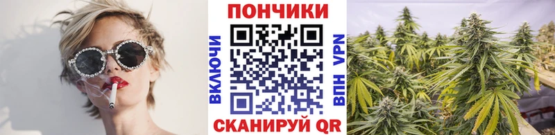 Шишки марихуана AK-47  omg tor  Свирск 